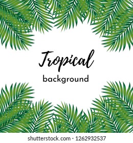 Vector background. Template for card or poster with isolated frame pattern green exotic tropical coconut palm leaves on a white background and place for text