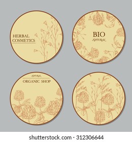 Vector Background template with hand-draw wild flowers and herbs. Layout, mockup design for cosmetics, store, label, natural and organic products