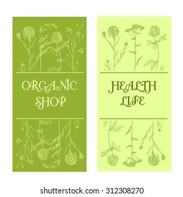 Vector Background template with hand-draw wild flowers and herbs. Layout, mockup design for cosmetics, store, label, natural and organic products