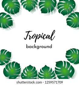 Vector background. Template with isolated frame green exotic tropical palm leaves on a white background