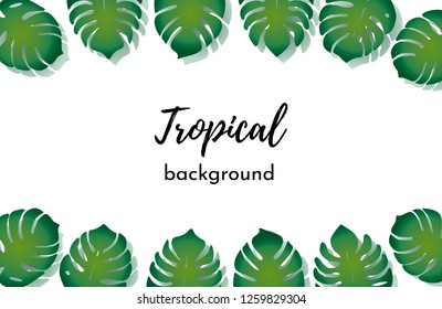 Vector background. Template with isolated frame green exotic tropical palm leaves on a white background