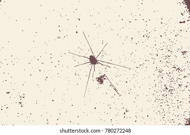 vector background, texture in grunge style for design. spider and spray paint