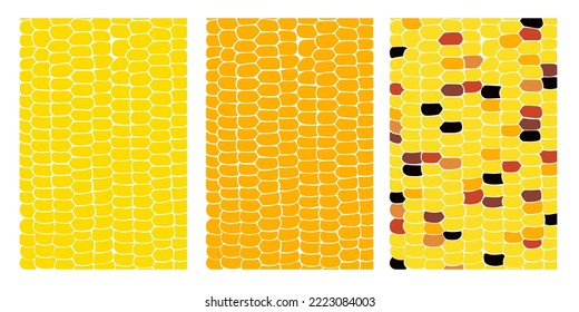 vector background texture, yellow corn.  vector background texture, yellow corn. design element Vector eps 10. The texture of yellow corn kernels