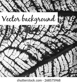 Vector background. Textured tropical green leaf close up