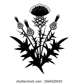 Vector background with a thistle bush. Hand-drawn  monochrome drawing.Floral template.
