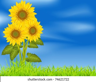 Sunflower Garden Illustration Stock Vector (Royalty Free) 455157346