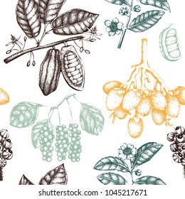 Vector background with tonic and spicy plants. Hand drawn seamless pattern with spices illustrations. Vintage aromatic elements. Sketched flowers, leaves, seeds, fruits, nuts, beans.