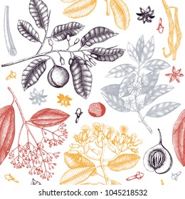 Vector background with tonic and spicy plants. Hand drawn seamless pattern with spices illustrations. Vintage aromatic elements. Sketched flowers, leaves, seeds, fruits, nuts, beans.
