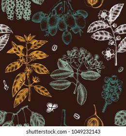 Vector background with tonic and spicy plants. Hand drawn seamless pattern with spices illustrations. Vintage aromatic elements. Sketched flowers, leaves, seeds, fruits, nuts, beans.