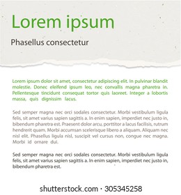 Vector background with torn  recycled grainy paper. Use for banner, label, presentation etc. Texture for recycling, ecology, bio and nature use. Colored - white, beige, green, brown. Eps 10.