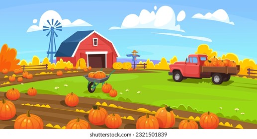 Vector background the traditional pumpkin patch  Holiday pumpkin picking farm and vintage truck  scarecrow  red barn  fence    windmill  Landscape view field harvest in fall 