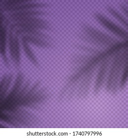 Vector Background with Transparent Shadow of Tropical Palm Leaves. Decorative Design Element for Collages. Creative Overlay Effect for Mockups