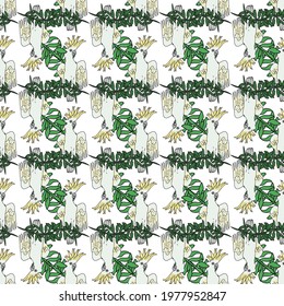 Vector background tropical birds, parrots, exotic cheese plant, monstera, hibiscus flowers. Seamless pattern background