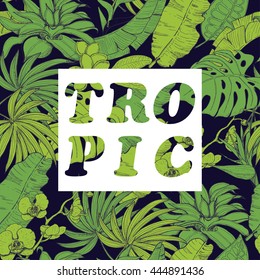 Vector background with tropical plants and flowers on dark background. Vector illustration for your design