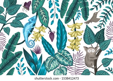 Vector background with tropical plants, insects and animals. Exotic jungle illustration with chameleon, tarsier, bird of paradise, butterfly, bananas