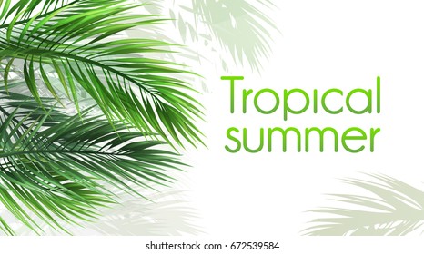 Vector background "tropical summer" with palm leaves.