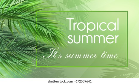 Vector background "tropical summer" with palm leaves.