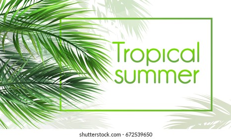 Vector background "tropical summer" with palm leaves.