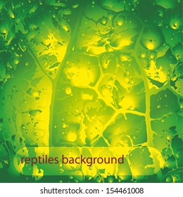 vector background with a turtle or reptile scales for use in your design.Eps10 format