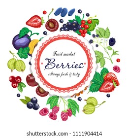 Vector background with various berries arranged in a circle. Vector illustration for your design