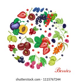 Vector background with various berries arranged in a circle. Vector illustration for your design