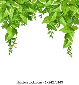 Vector background with various green leaves.