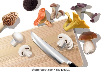 Vector background with various kind of edible mushrooms