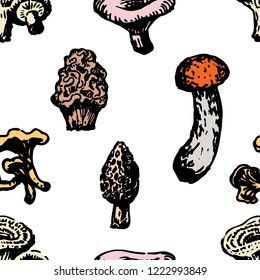 Vector background of various mushrooms