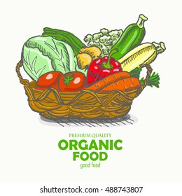 Vector background with vegetables in the basket. Vector illustration for your design