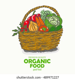 Vector background with vegetables in the basket. Organic food. Vector illustration for your design