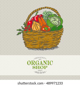Vector background with vegetables in the basket. Organic shop