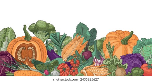 Vector Background of vegetables. A border of vegetables lying at the bottom on a transparent background. Zucchini, cabbage, avocado, onion, eggplant, cucumber, beetroot, radish, pepper, garlic, brocco
