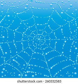 Vector background. Water bubbles.
