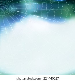 A vector background with a web in water drops.