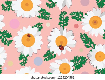 Vector background with white chamomiles on pink.