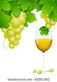 Vector background with white grapes