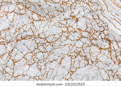 Vector background. White marble with craquelure and gold veins, detailed stone surface.