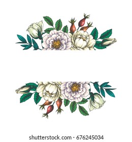 Vector background with wild briar. Vintage botanical hand drawn illustration of dog rose. Eglantine flowers, berry and foliage. Wedding design. Engraving style. Floral texture
