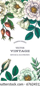 Vector background with wild briar. Vintage botanical hand drawn illustration of dog rose. Eglantine flowers, berry and foliage. Wedding design. Engraving style. Floral texture