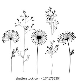 Vector Background Wildflowers Herbs Silhouettes Plants Stock Vector ...