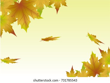 Vector background of yellow autumn leaves