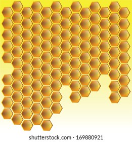 Vector background of yellow color of honeycombs of wax of the bees full of honey with patches of light