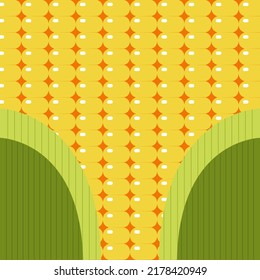 Vector background. Yellow corn, Corn grain in the form of a seamless background. Maize plant. Realistic vector creative illustration