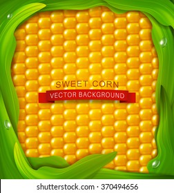 vector background. Yellow corn, green leaves around