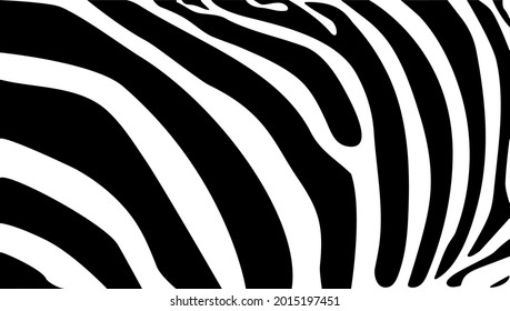 Vector background with zebra skin texture Black and White pattern.