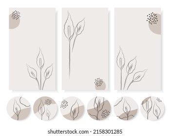 Vector backgrounds and highlight icons set.