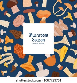 Vector backgroundwith cartoon mushrooms