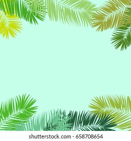 vector backgroung palm leaves