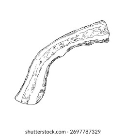 Tira de tocino de Vector. Rebanada de cerdo de tinta gráfica de deliciosa ilustración de carne, aislada sobre fondo. Boceto de línea dibujado a mano. Para los diseñadores, impresiones, logotipo, icono, menú, postales, vacaciones, cubiertas