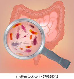 Vector Bacteria Flora